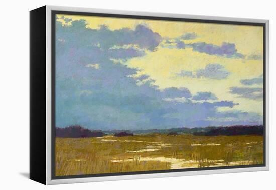 Yellow Sky-Carol Strock Wasson-Framed Stretched Canvas