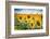 Yellow Splashes-Philippe Sainte-Laudy-Framed Photographic Print