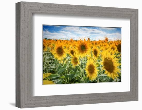 Yellow Splashes-Philippe Sainte-Laudy-Framed Photographic Print