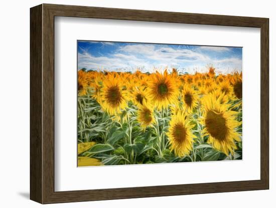 Yellow Splashes-Philippe Sainte-Laudy-Framed Photographic Print