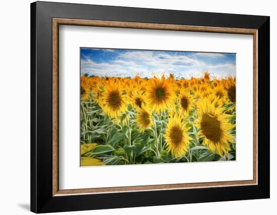 Yellow Splashes-Philippe Sainte-Laudy-Framed Photographic Print