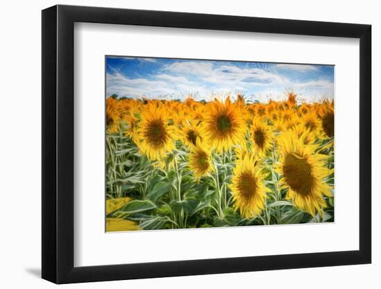 Yellow Splashes-Philippe Sainte-Laudy-Framed Photographic Print