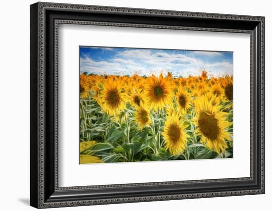 Yellow Splashes-Philippe Sainte-Laudy-Framed Photographic Print