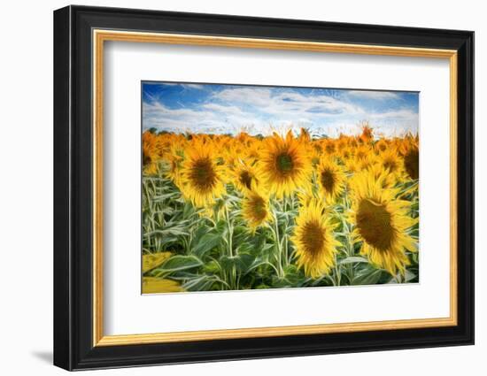 Yellow Splashes-Philippe Sainte-Laudy-Framed Photographic Print