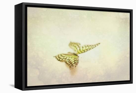 Yellow Spotted Butterfly-null-Framed Premier Image Canvas