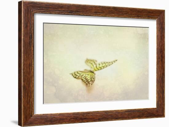 Yellow Spotted Butterfly-null-Framed Photographic Print