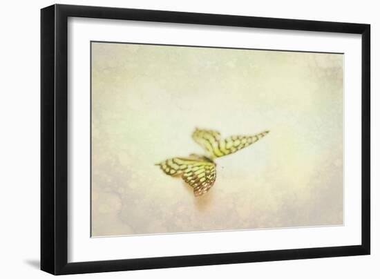 Yellow Spotted Butterfly-null-Framed Photographic Print