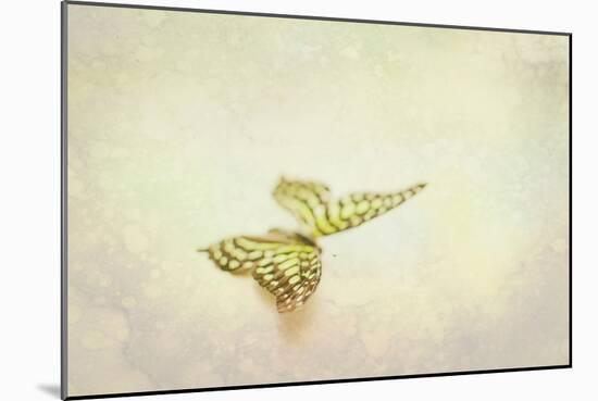 Yellow Spotted Butterfly-null-Mounted Photographic Print