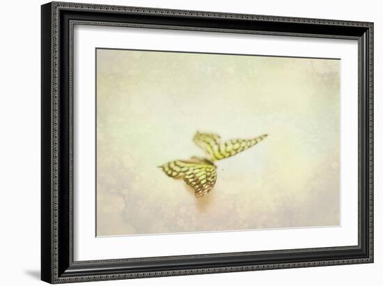 Yellow Spotted Butterfly-null-Framed Photographic Print