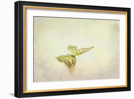 Yellow Spotted Butterfly-null-Framed Photographic Print