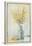 Yellow Spray in Vase I-Tim OToole-Framed Stretched Canvas