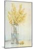 Yellow Spray in Vase II-Tim OToole-Mounted Art Print