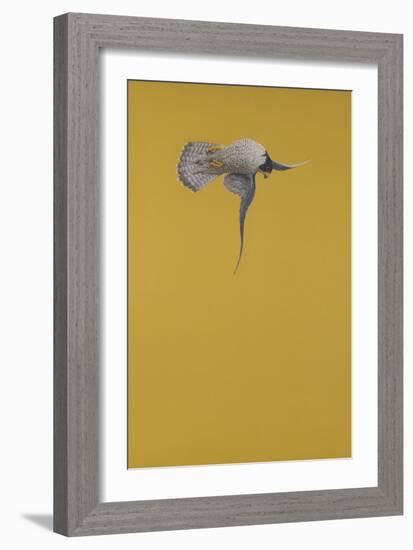 Yellow Stoop-Tim Hayward-Framed Giclee Print