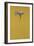 Yellow Stoop-Tim Hayward-Framed Giclee Print