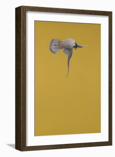 Yellow Stoop-Tim Hayward-Framed Giclee Print