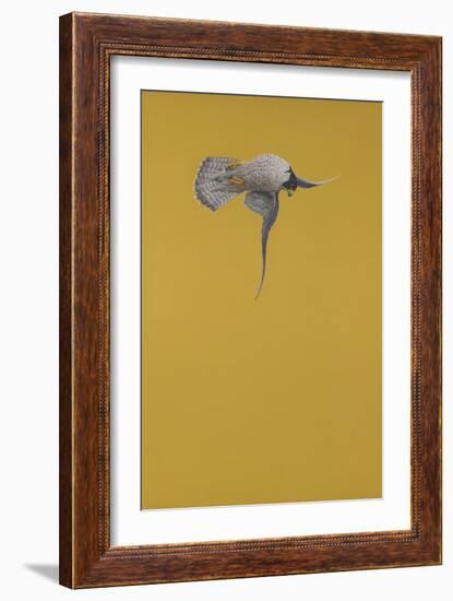 Yellow Stoop-Tim Hayward-Framed Giclee Print