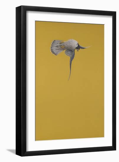 Yellow Stoop-Tim Hayward-Framed Giclee Print