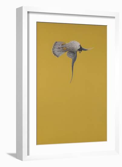 Yellow Stoop-Tim Hayward-Framed Giclee Print