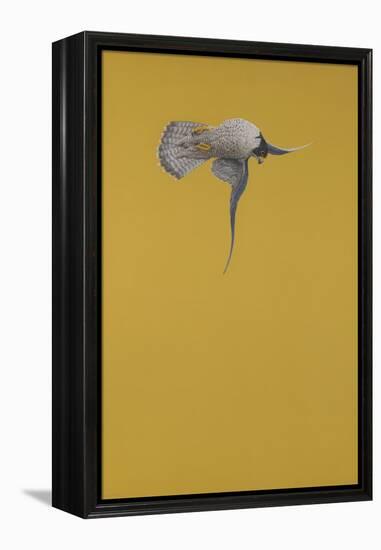 Yellow Stoop-Tim Hayward-Framed Premier Image Canvas