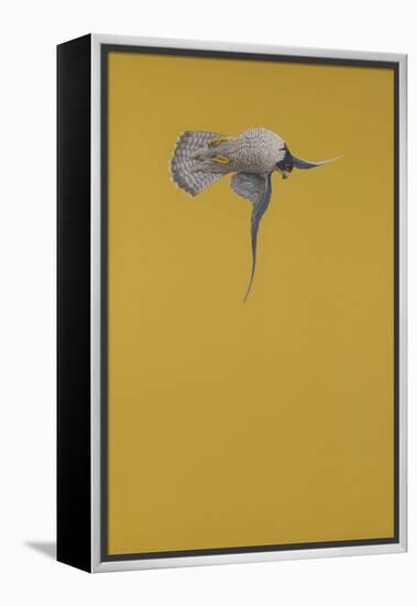 Yellow Stoop-Tim Hayward-Framed Premier Image Canvas