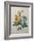 Yellow Sulphur-Pierre-Joseph Redoute-Framed Art Print