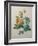 Yellow Sulphur-Pierre-Joseph Redoute-Framed Art Print