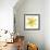 Yellow Summer Daisy-Susan Bryant-Framed Art Print displayed on a wall