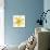 Yellow Summer Daisy-Susan Bryant-Mounted Art Print displayed on a wall