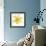 Yellow Summer Daisy-Susan Bryant-Framed Art Print displayed on a wall
