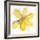 Yellow Summer Daisy-Susan Bryant-Framed Art Print