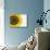 Yellow Sunflower-null-Mounted Photographic Print displayed on a wall