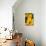 Yellow Sunflowers-Erin Berzel-Mounted Photographic Print displayed on a wall
