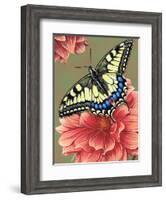 Yellow Swallowtail-Marilyn Barkhouse-Framed Art Print