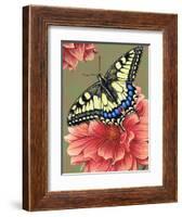 Yellow Swallowtail-Marilyn Barkhouse-Framed Art Print