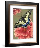 Yellow Swallowtail-Marilyn Barkhouse-Framed Art Print