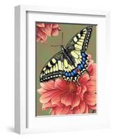 Yellow Swallowtail-Marilyn Barkhouse-Framed Art Print