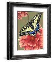 Yellow Swallowtail-Marilyn Barkhouse-Framed Art Print