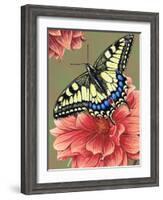 Yellow Swallowtail-Marilyn Barkhouse-Framed Art Print
