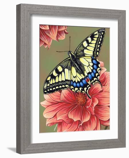 Yellow Swallowtail-Marilyn Barkhouse-Framed Art Print