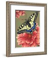 Yellow Swallowtail-Marilyn Barkhouse-Framed Art Print