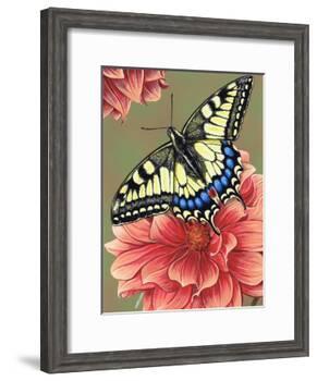 Yellow Swallowtail-Marilyn Barkhouse-Framed Art Print
