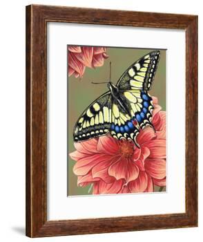 Yellow Swallowtail-Marilyn Barkhouse-Framed Art Print