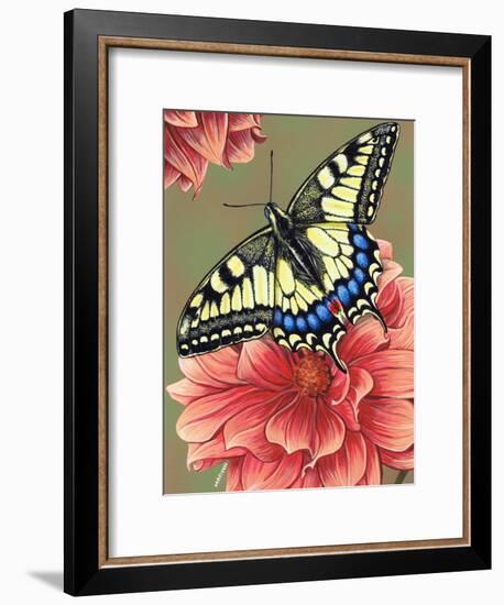 Yellow Swallowtail-Marilyn Barkhouse-Framed Art Print