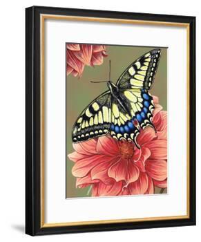 Yellow Swallowtail-Marilyn Barkhouse-Framed Art Print