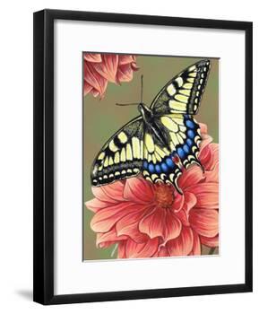 Yellow Swallowtail-Marilyn Barkhouse-Framed Art Print