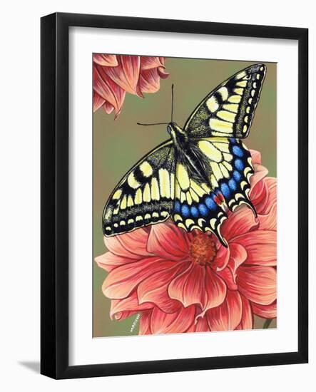 Yellow Swallowtail-Marilyn Barkhouse-Framed Art Print