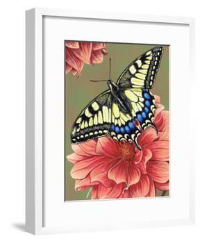 Yellow Swallowtail-Marilyn Barkhouse-Framed Art Print