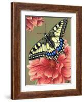 Yellow Swallowtail-Marilyn Barkhouse-Framed Art Print
