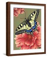 Yellow Swallowtail-Marilyn Barkhouse-Framed Art Print