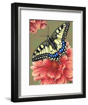 Yellow Swallowtail-Marilyn Barkhouse-Framed Art Print